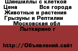 Шиншиллы с клеткой › Цена ­ 8 000 - Все города Животные и растения » Грызуны и Рептилии   . Московская обл.,Лыткарино г.